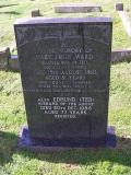 image of grave number 396452